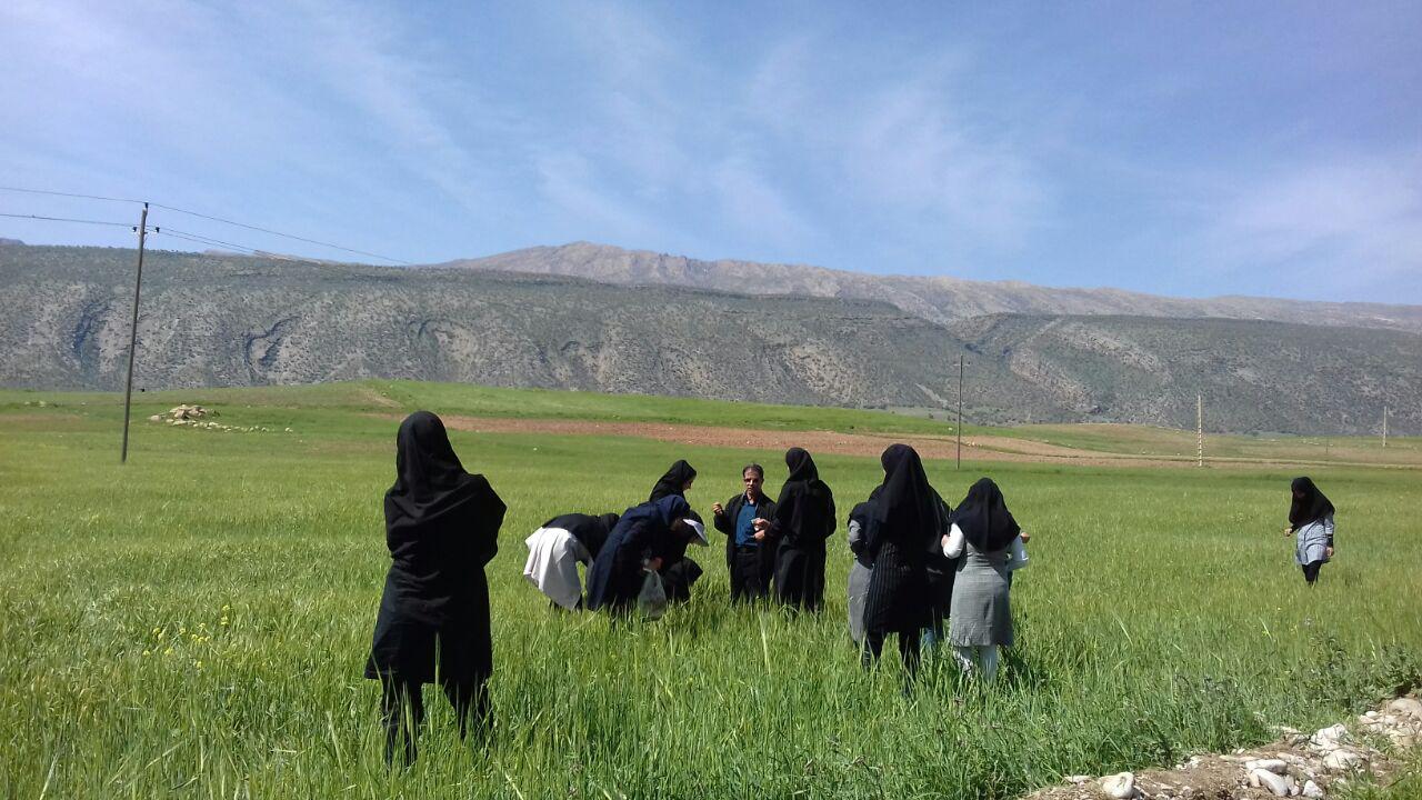 بازديد دانشجويان گياهپزشکي از مزارع سيروان
