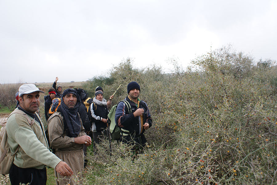 گزارش تصويري اردوي گروه کوهنوردي دانشگاه ( درگوان )