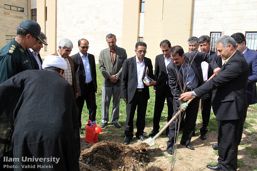 مراسم روز درختکاري و هفته منابع طبيعي با حضور استاندار ايلام  در دانشگاه برگزار شد/ گزارش تصويريي