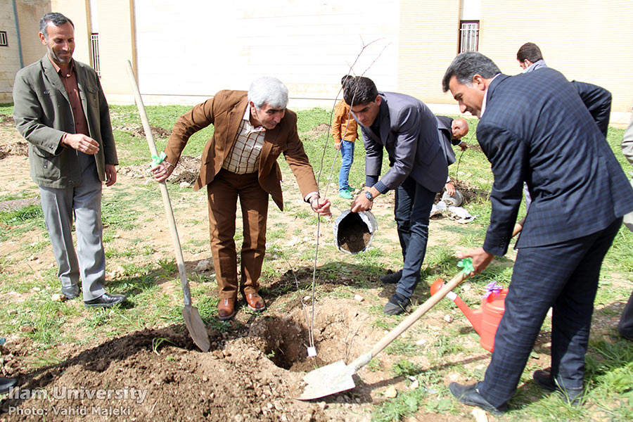 مراسم روز درختکاري و هفته منابع طبيعي با حضور استاندار ايلام  در دانشگاه برگزار شد/ گزارش تصويريي