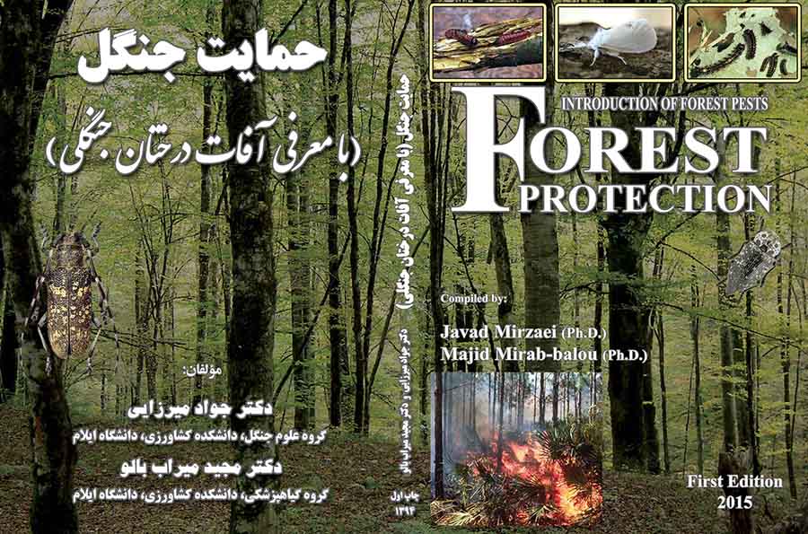 کتاب علمي - آموزشي حمايت از جنگل توسط اساتيد دانشگاه ايلام منتشر شد