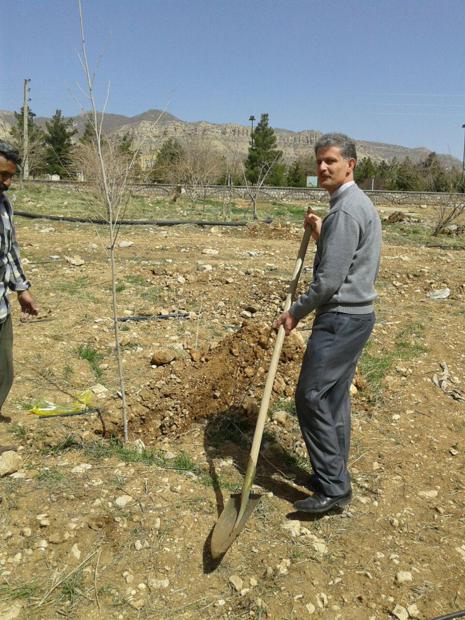 انجام درختکاري در باغ گياهشناسي دانشکده کشاورزي توسط رييس دانشکده و همکاران (تصويري)