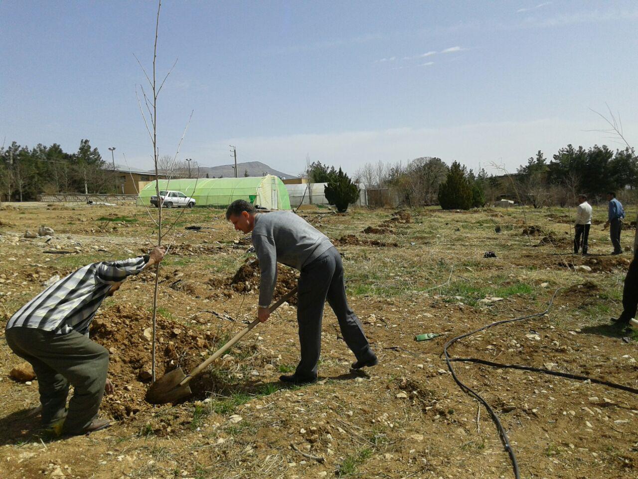 انجام درختکاري در باغ گياهشناسي دانشکده کشاورزي توسط رييس دانشکده و همکاران (تصويري)