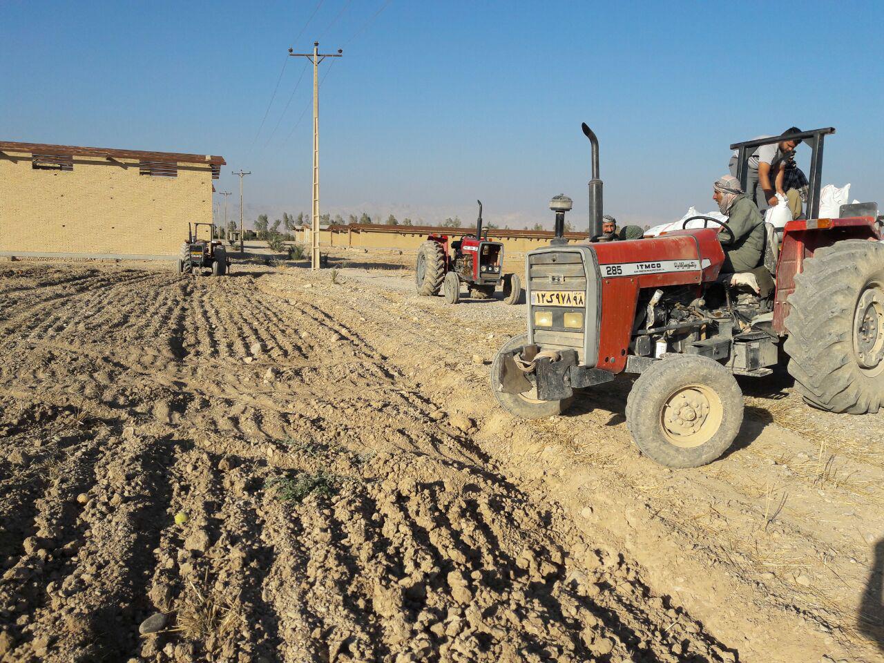 شروع کاشت کلزا و گندم در مزرعه مهران (تصويري)