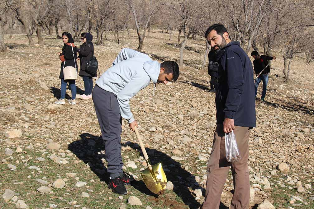 طرح بذرکاري بلوط در دامنه هاي پارک جنگلي چغاسبز با مشارکت انجمن هاي علمي دانشجويي دانشگاه ايلام انجام گرفت