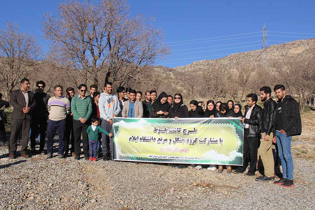 طرح بذرکاري بلوط در دامنه هاي پارک جنگلي چغاسبز با مشارکت انجمن هاي علمي دانشجويي دانشگاه ايلام انجام گرفت