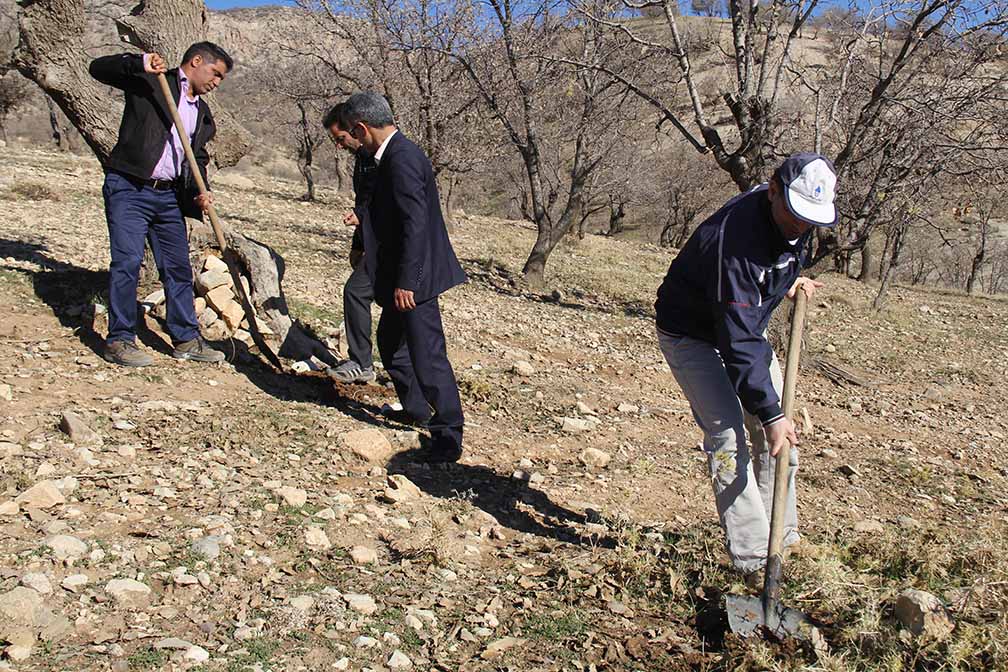 طرح بذرکاري بلوط در دامنه هاي پارک جنگلي چغاسبز با مشارکت دانشگاه ايلام انجام گرفت