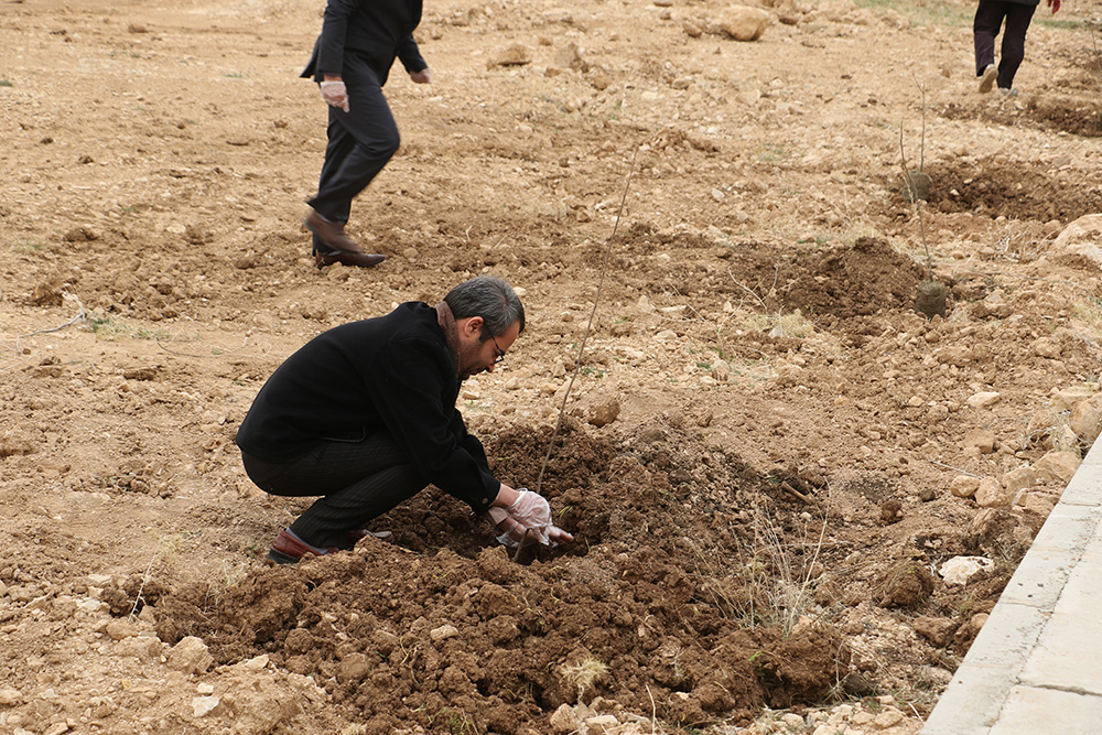 آيين کاشت 300 اصله نهال ميوه در دانشگاه ايلام برگزار گرديد