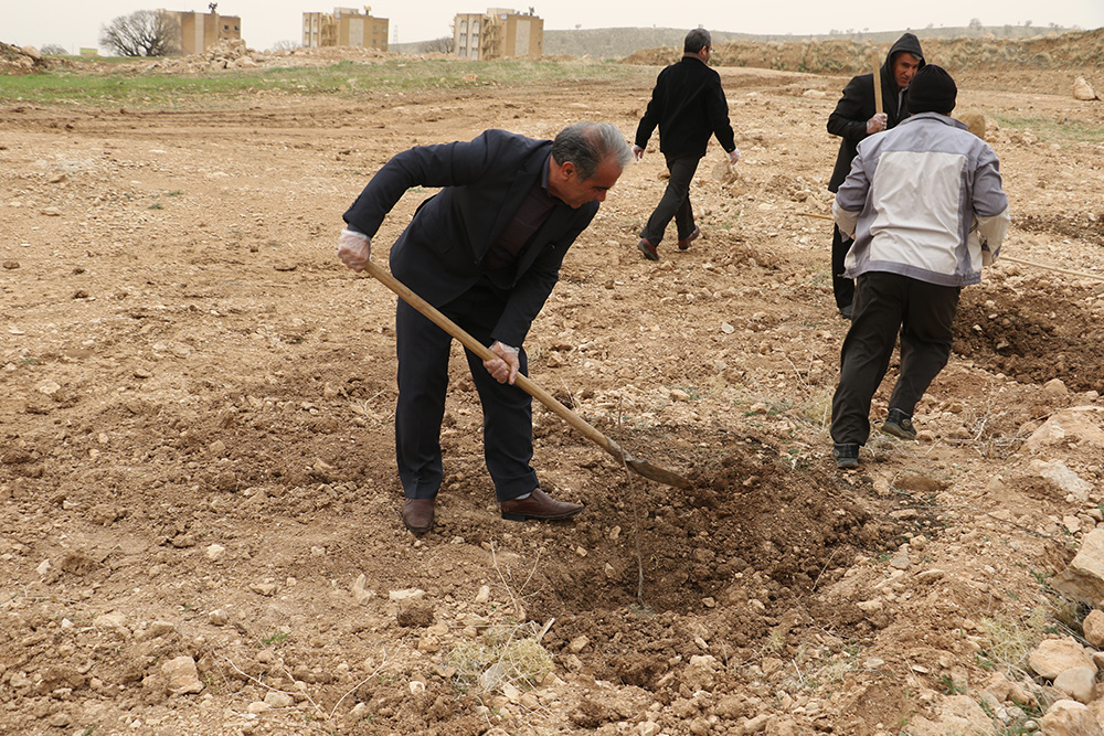 آيين کاشت 300 اصله نهال ميوه در دانشگاه ايلام برگزار گرديد