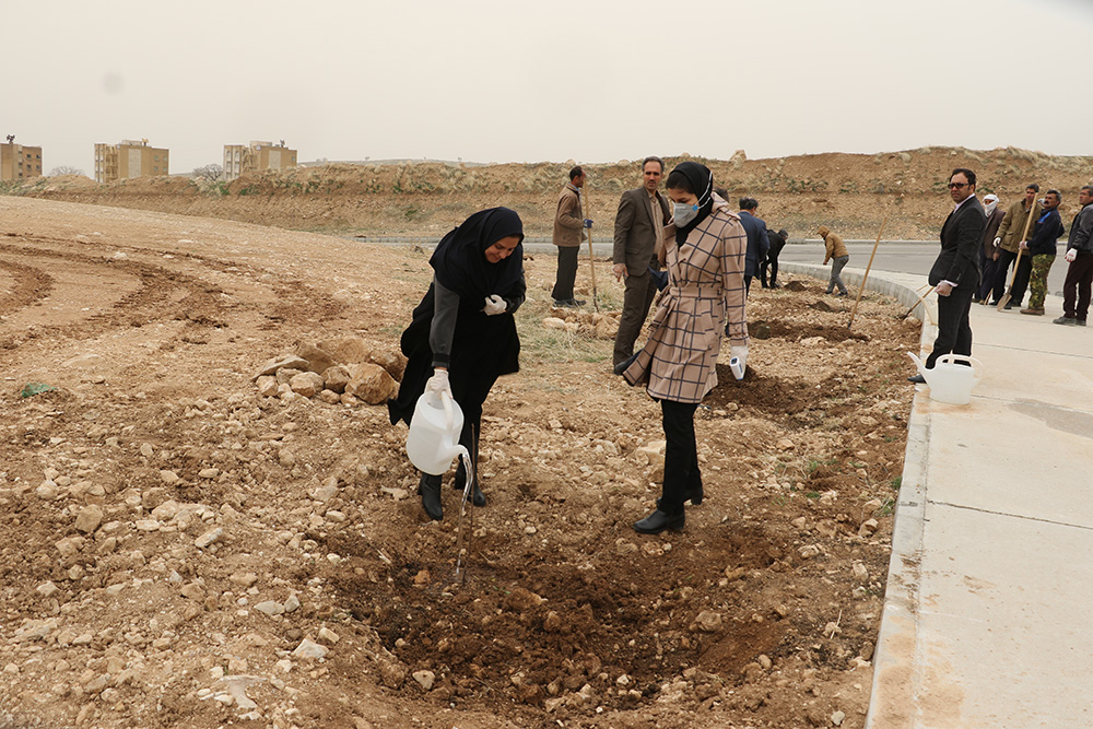 آيين کاشت 300 اصله نهال ميوه در دانشگاه ايلام برگزار گرديد