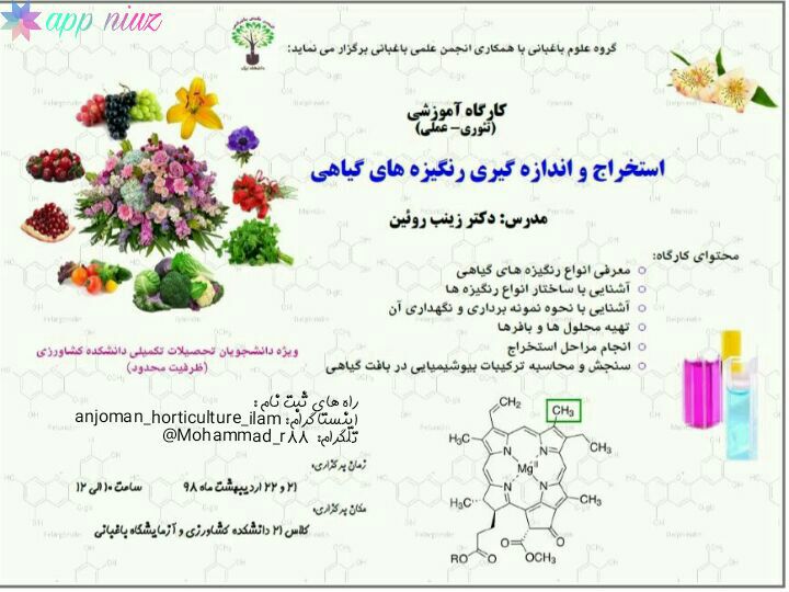 هفت رويداد علمي طي هفته جاري در دانشگاه ايلام برگزار مي‎گردد