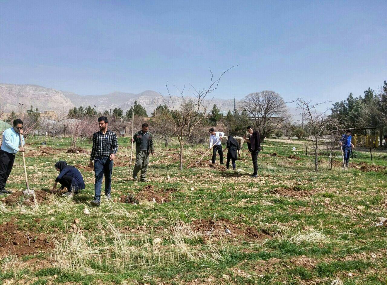 کاشت نهال تعدادي از گونه هاي بومي جنگلهاي زاگرس در دانشگاه