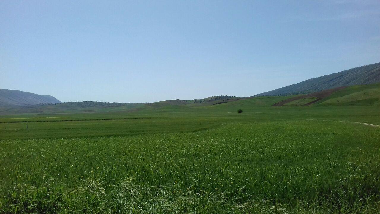 بازديد دانشجويان گياهپزشکي از مزارع سيروان