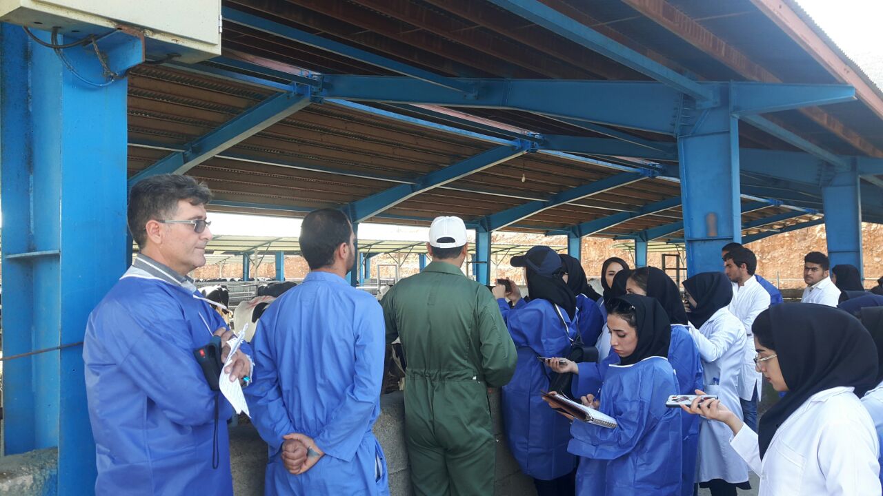 بازديد علمي دانشجويان درس عمليات کشاورزي از مجتمع گاوداري 600 راسي گاو شيري بنياد مستضعفان واقع در شهرستان ايوان