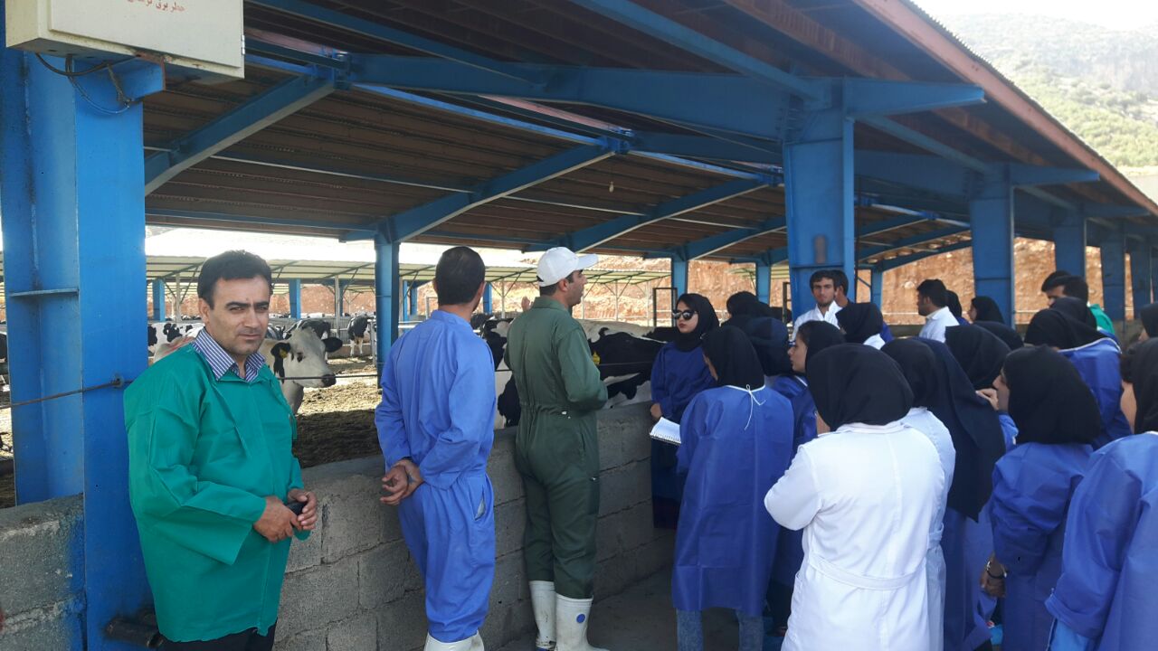 بازديد علمي دانشجويان درس عمليات کشاورزي از مجتمع گاوداري 600 راسي گاو شيري بنياد مستضعفان واقع در شهرستان ايوان